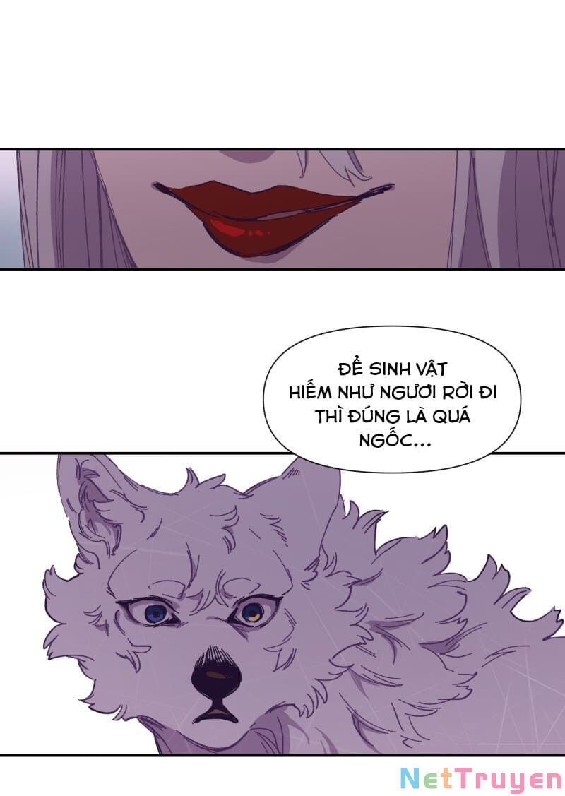 lumine - cội nguồn ánh sáng chapter 116 21