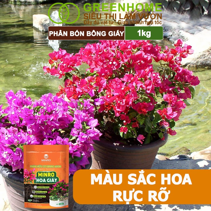 Phân Bón Hoa Giấy Greenhome, Minro, Bao 1kg, Hữu Cơ, Cứng Thân, Tạo Tán, Ra Bông Nhiều, Lâu Tàn