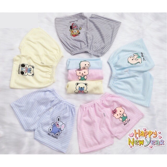 Set 10 Quần Đùi Cotton Cho Bé Mặc Ngày Hè Luyện Bỏ Bỉm