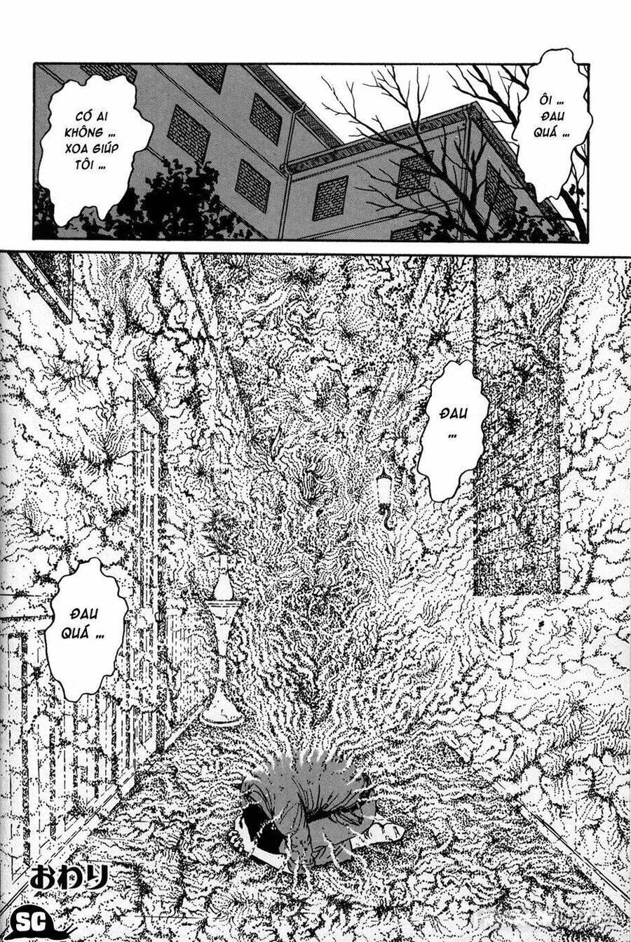 tuyển tập truyện ngắn kinh dị của ito junji chapter 15.6 34