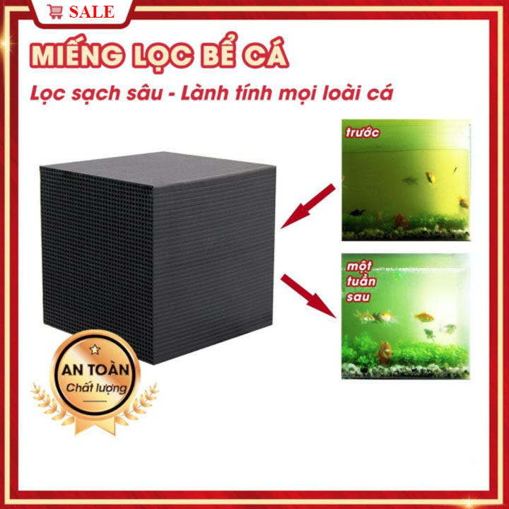 Khối Than Hoạt Tính Làm Sạch Bể Nước Hiệu Quả- Hàng Nhập Khẩu