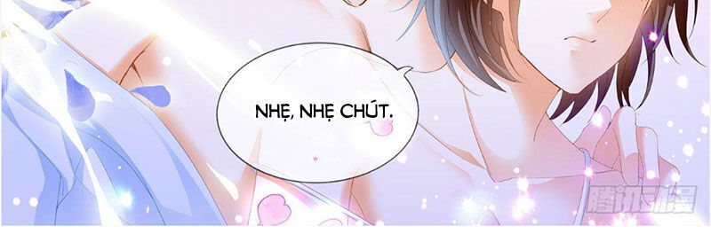 lóe thiểm hôn kiều thê mơ tưởng trốn chapter 244 10