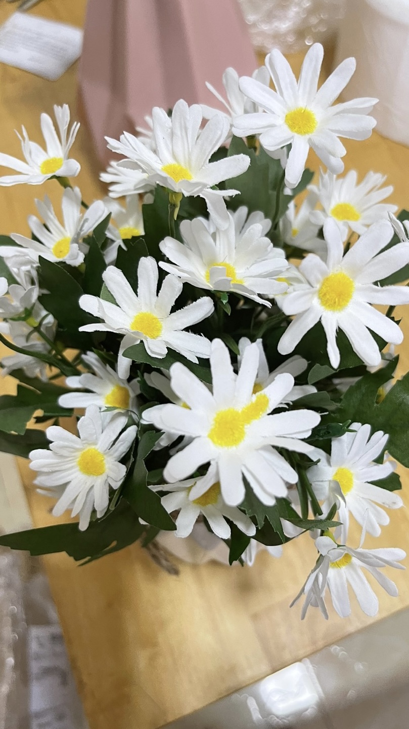 Chậu Cây Giả Trang Trí Nhà Cửa, Văn Phòng Bàn Làm Việc, Chất Liệu Chậu Hoa Bằng Nhựa Kích Thước 5x6x12cm Nặng 70g