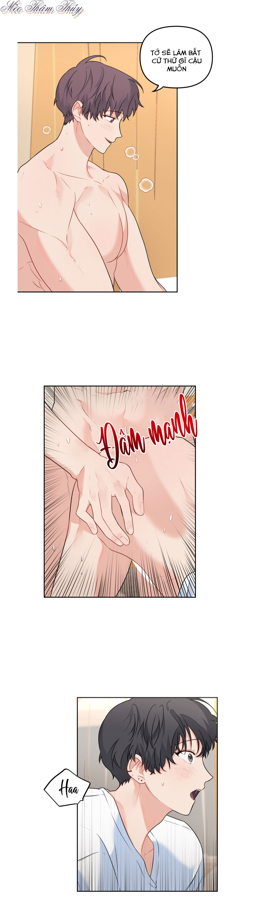 máu và tình yêu chapter 50 4