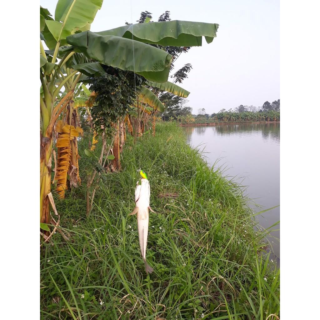 Mồi câu lure CC50