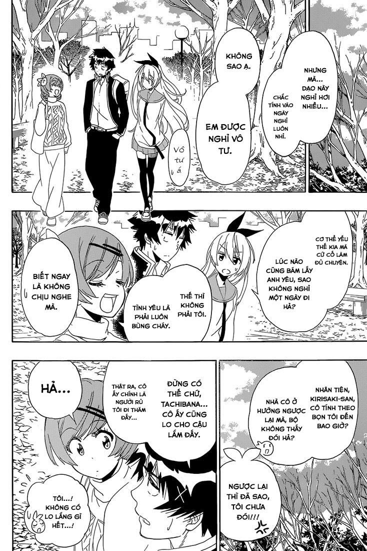 nisekoi - tình yêu giả tạo chapter 180 13