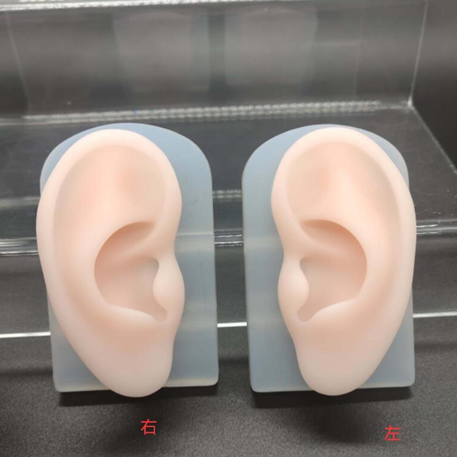 2Pcs Human Body Part Model Flexible Mold for Piercing Exercises Ears