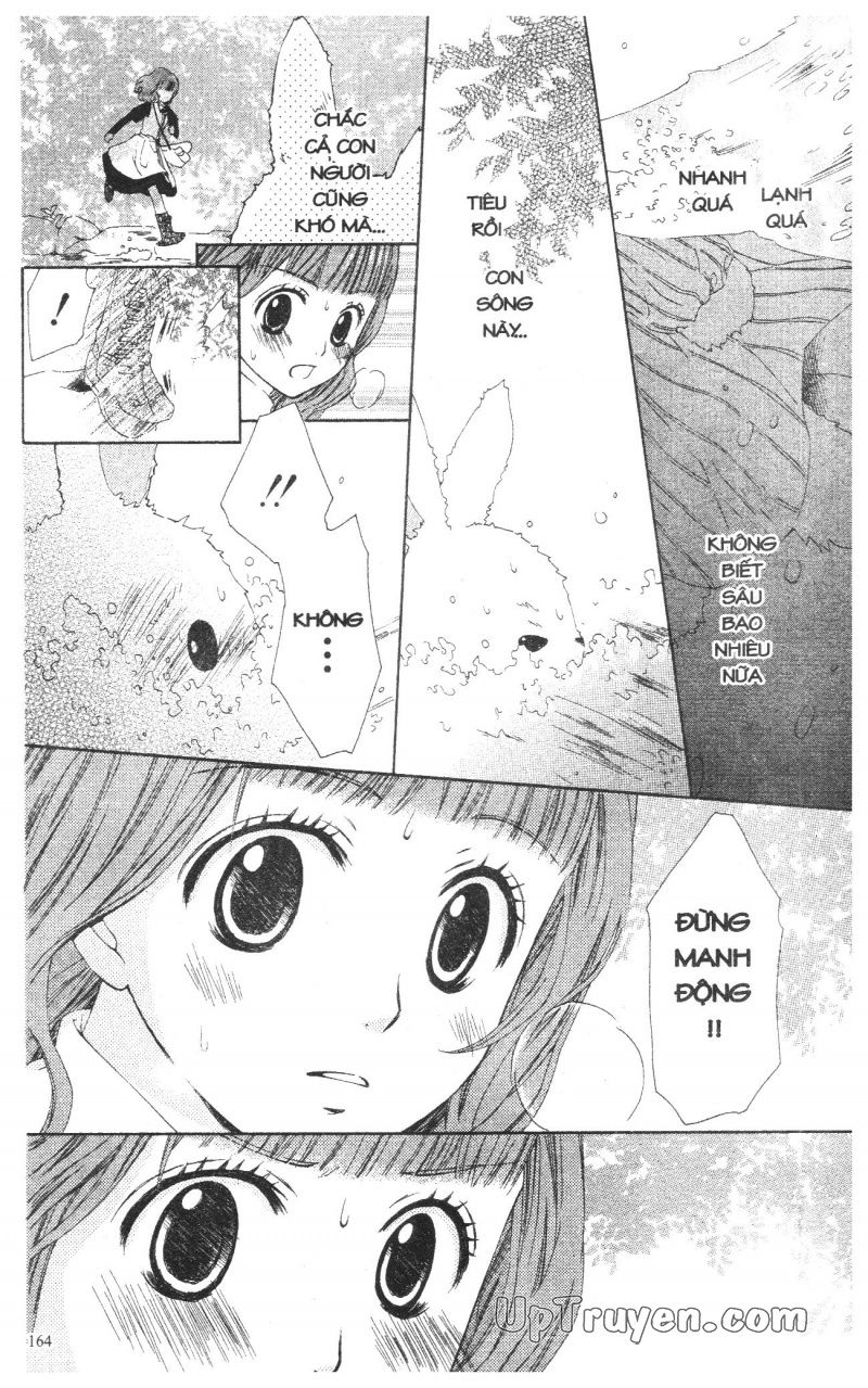 báu vật hoàng cung chapter 4 19