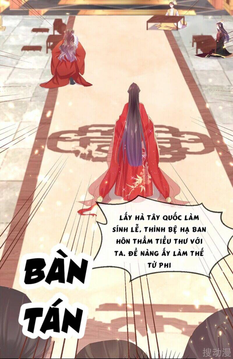 thị huyết y phi chapter 66 50