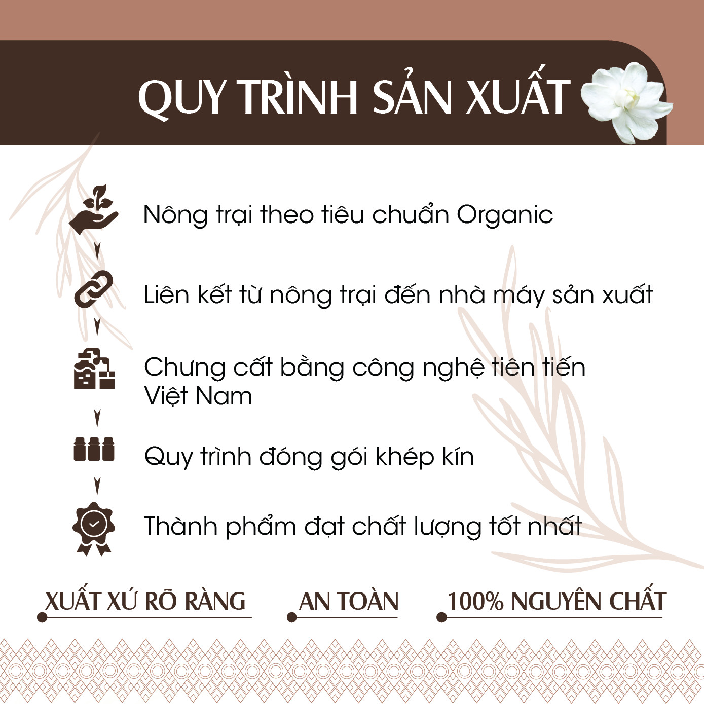 Tinh dầu Quế 24Care - diệt khuẩn, khử mùi hiệu quả, ngủ ngon, an thần, chiết xuất thiên nhiên