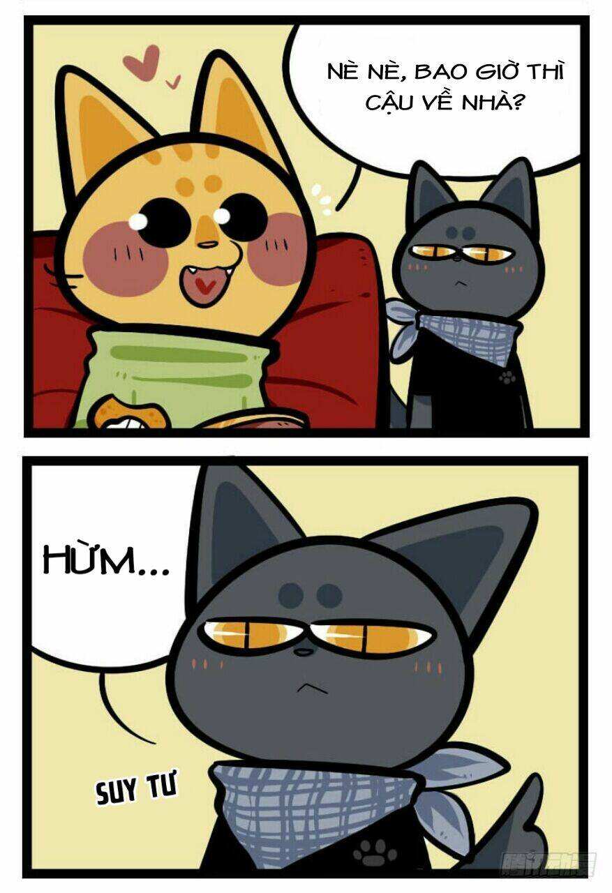 đời không như mình tưởng chapter 21 3