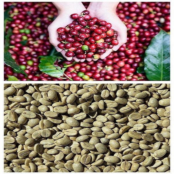 Combo 3 gói Cà phê Rang xay Truyền thống Highlands Coffee 200g