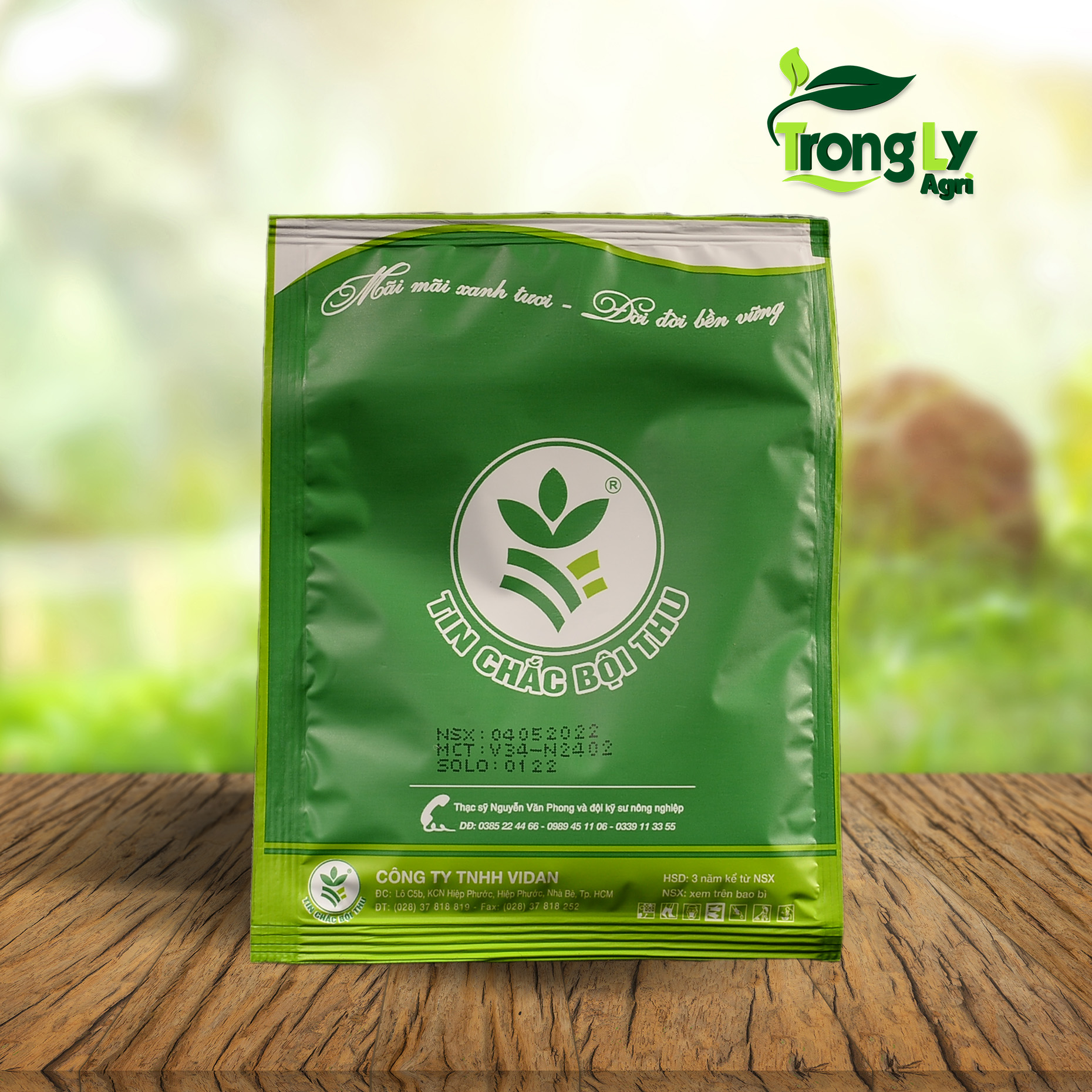 KÍCH ĐỌT-BUNG CÀNH - Mập đọt, Lá dày, xanh mướt lá