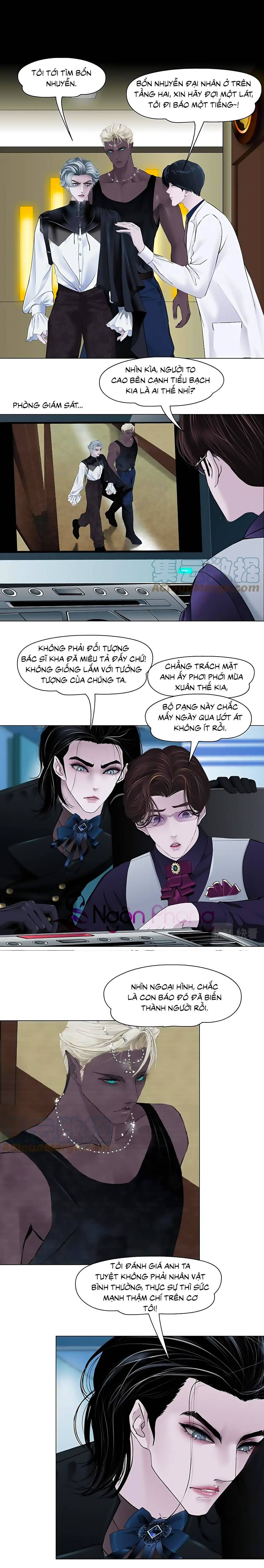 đằng nữ chapter 164 7