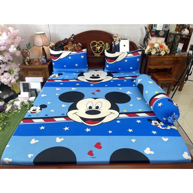 Drap thun hàn quốc