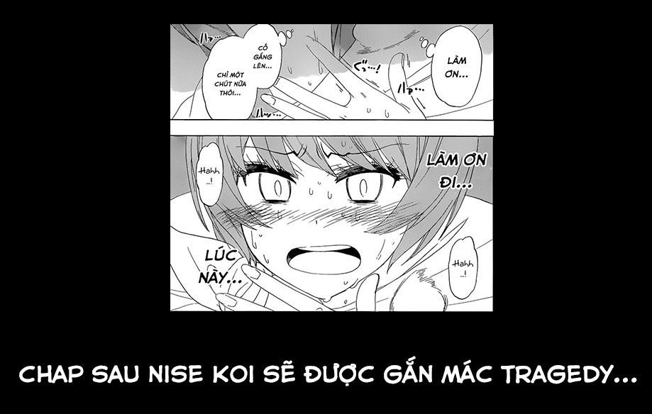 nisekoi - tình yêu giả tạo chapter 170 24