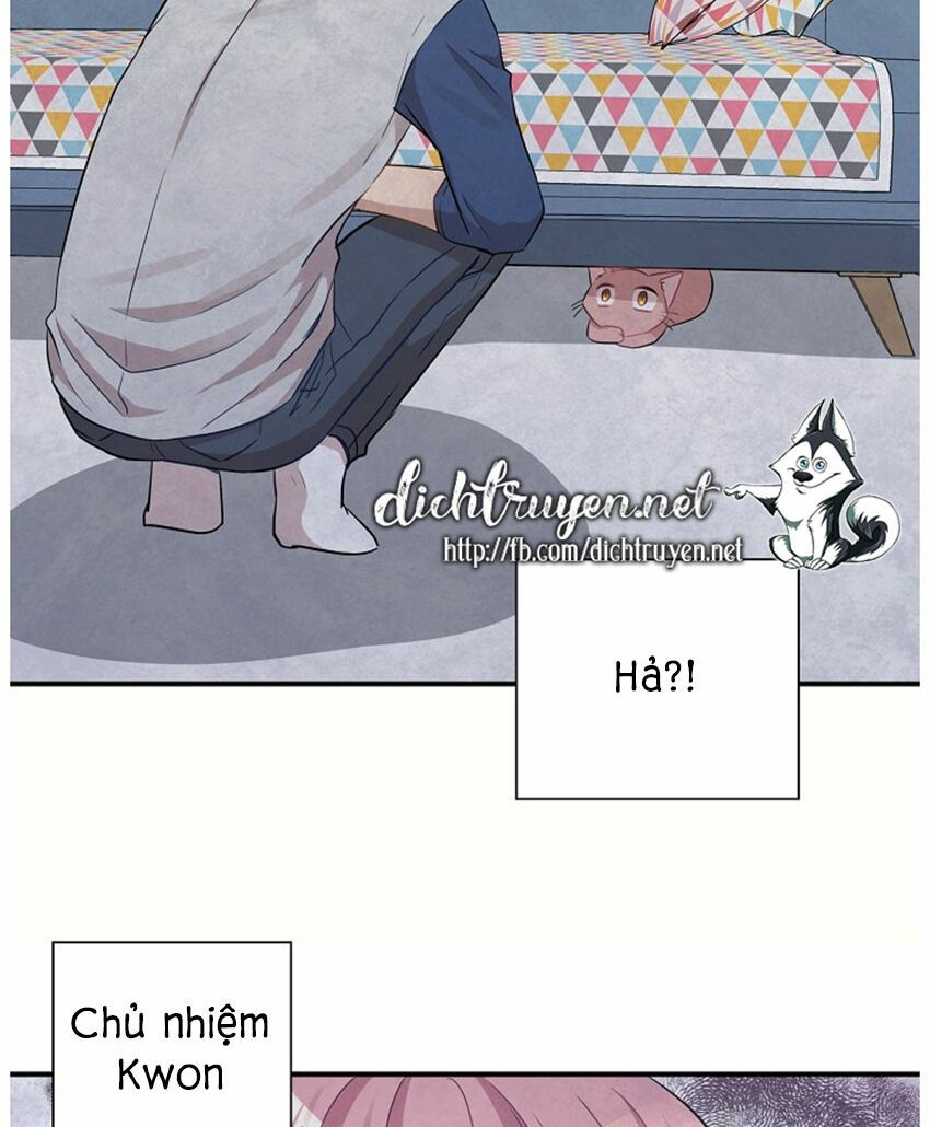 cuộc sống kỳ thú chapter 21 46