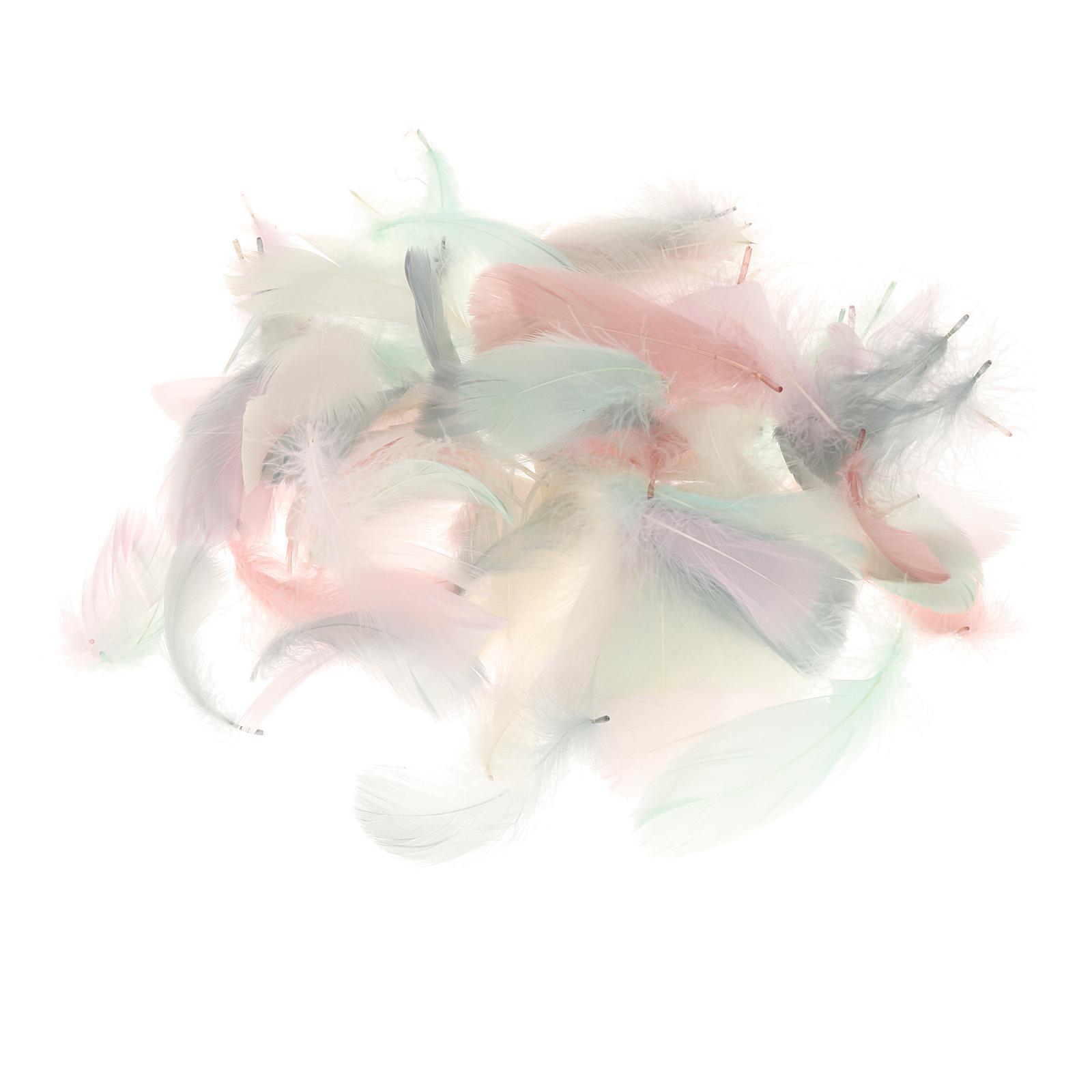 200Pcs  Feather Colorful Feathers for Festivals Party Decorations