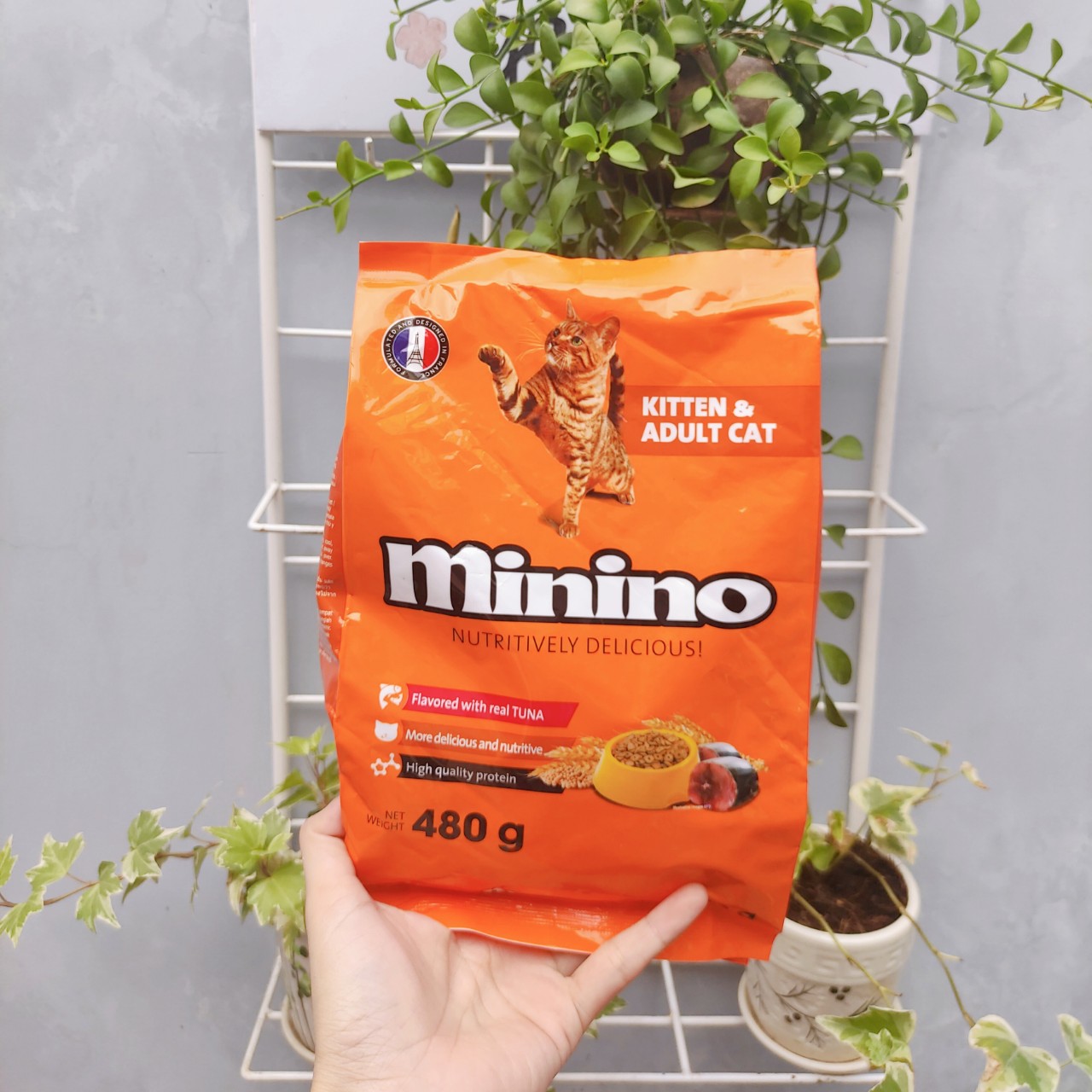 COMBO 5 Gói Thức Ăn Hạt Cho Mèo Con Và Mèo Lớn Vị Cá Ngừ Minino Tuna Flavored 480g