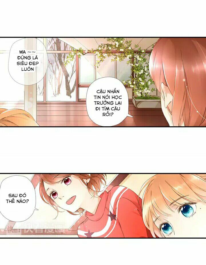 Tình yêu là màu hoa anh thảo chapter 19.5 16