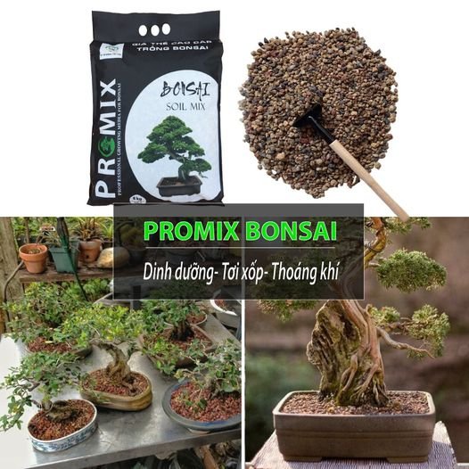 Đất trồng bonsai cao cấp Promix - dùng trồng các loại cây bonsai, giữ độ ẩm và chất dinh dưỡng, thoát nước nhanh, khô nhanh