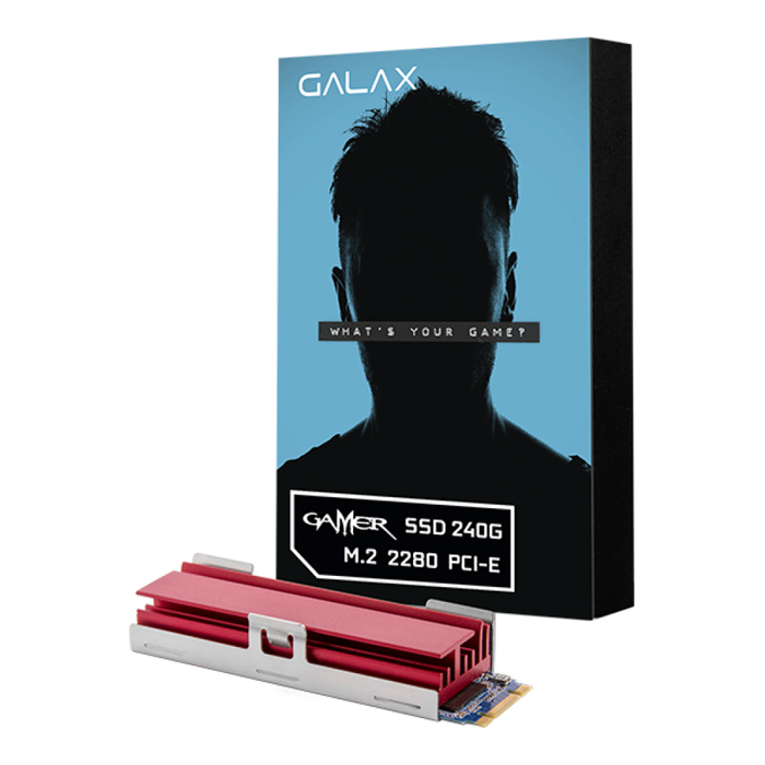 Ổ cứng SSD GALAX Gamer 240GB M.2 2280 PCI-E TINA1H4T6TG64CNLBZXWXN - Hàng Chính Hãng