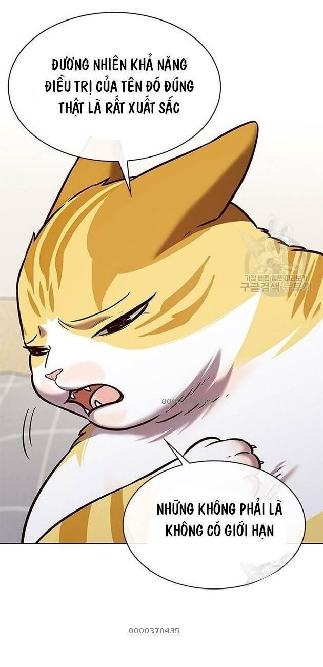 biến thân thành mèo chapter 228 15