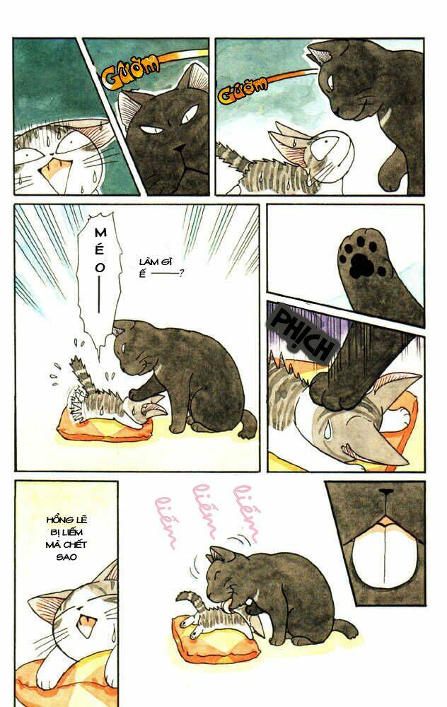 chi's sweet home chapter 29 5