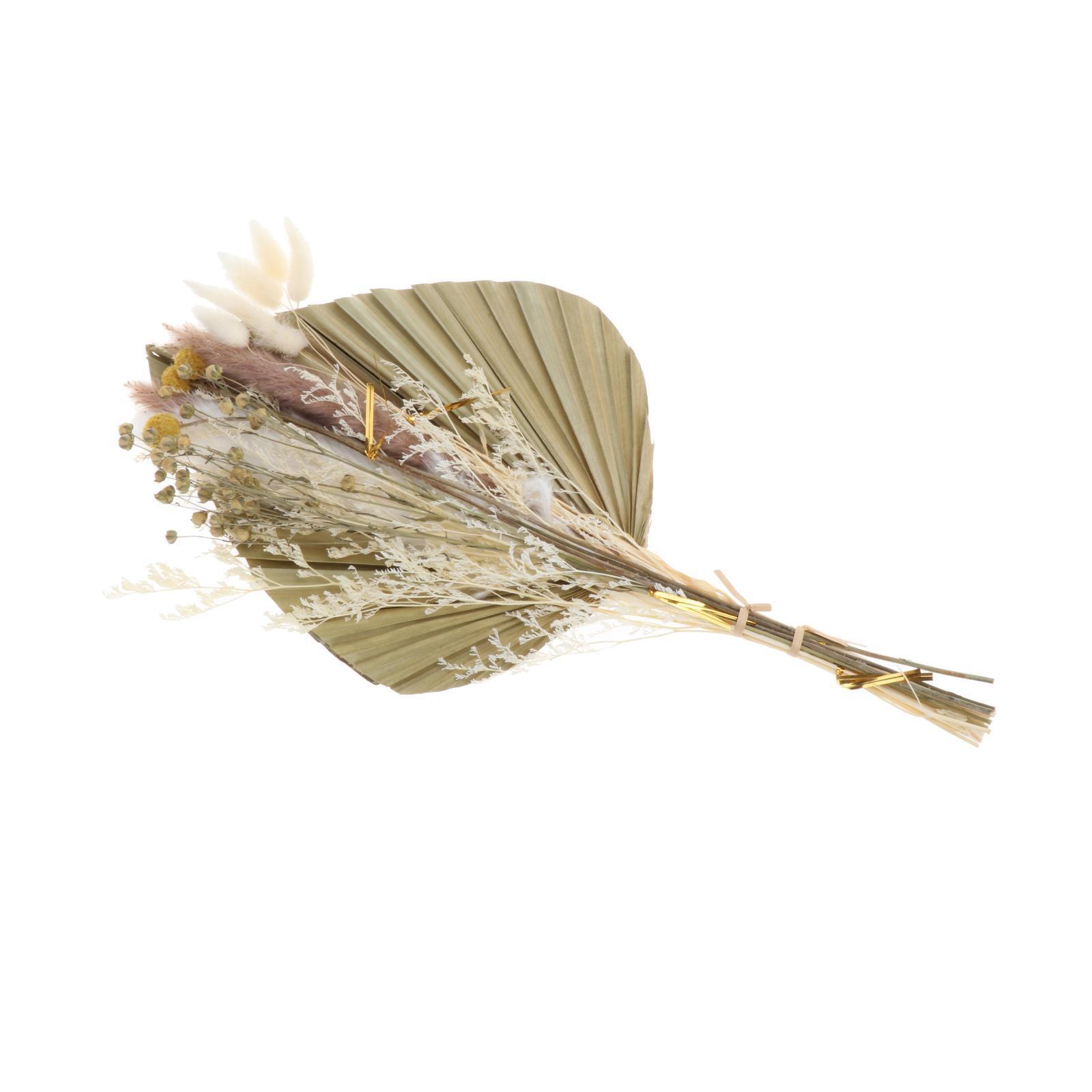 Dried Palm Leaves Pampas Grass Bundle Palm Spears Branches for Wedding