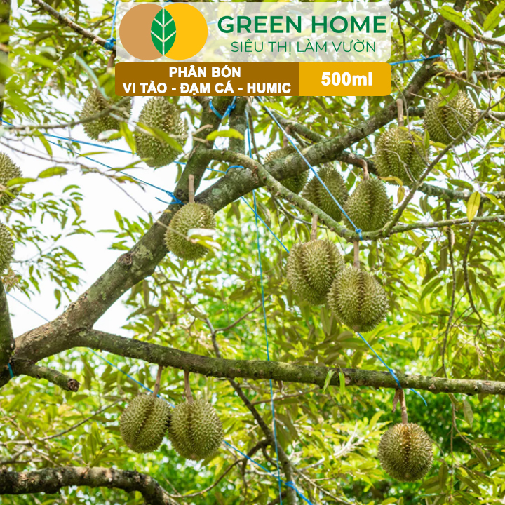 Phân Đạm Cá - Vi Tảo - Humic GreenHome, Chai 500ml, Siêu Vọt Đọt, Kích Rễ Mạnh Mẽ Cho Mọi Cây Trồng