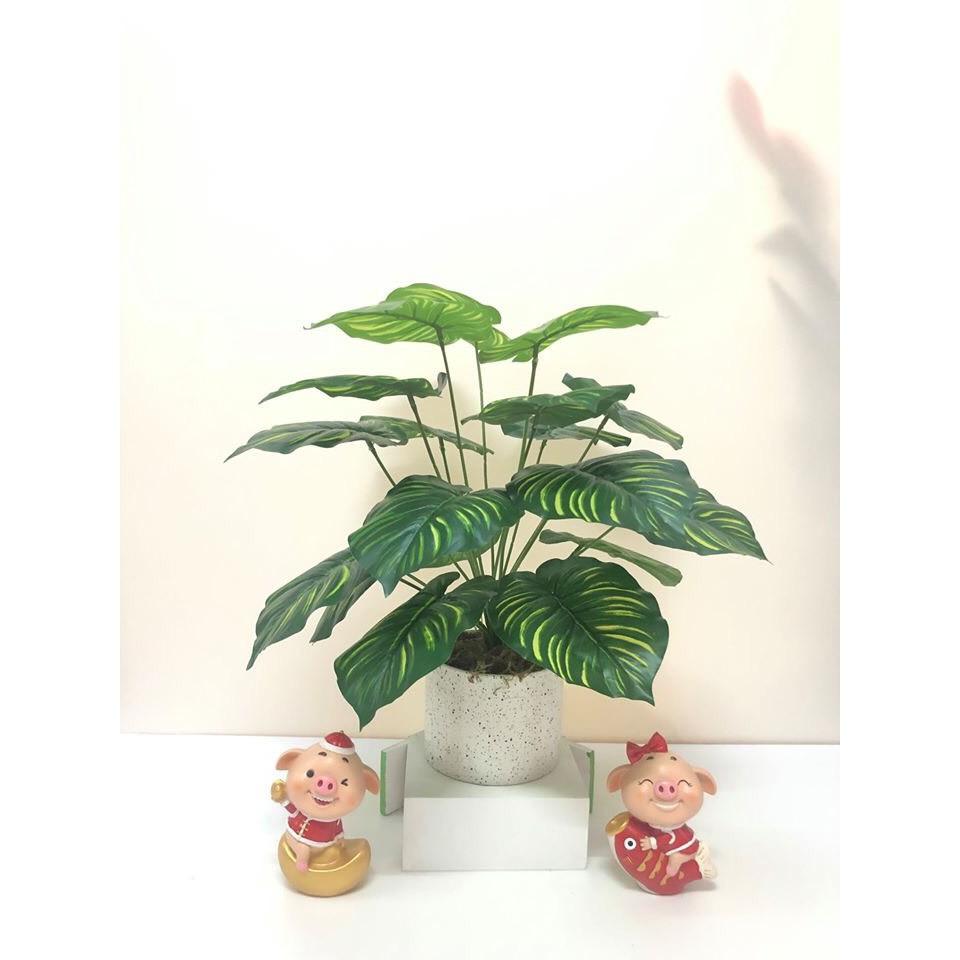 Cây giả - Cây lá xẻ 12 lá, cao 60cm kèm chậu