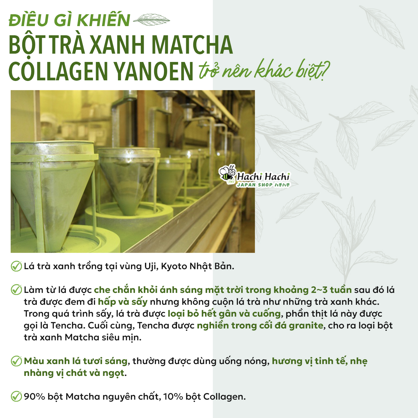 Bột Trà Xanh Yanoen Matcha Collagen 30g