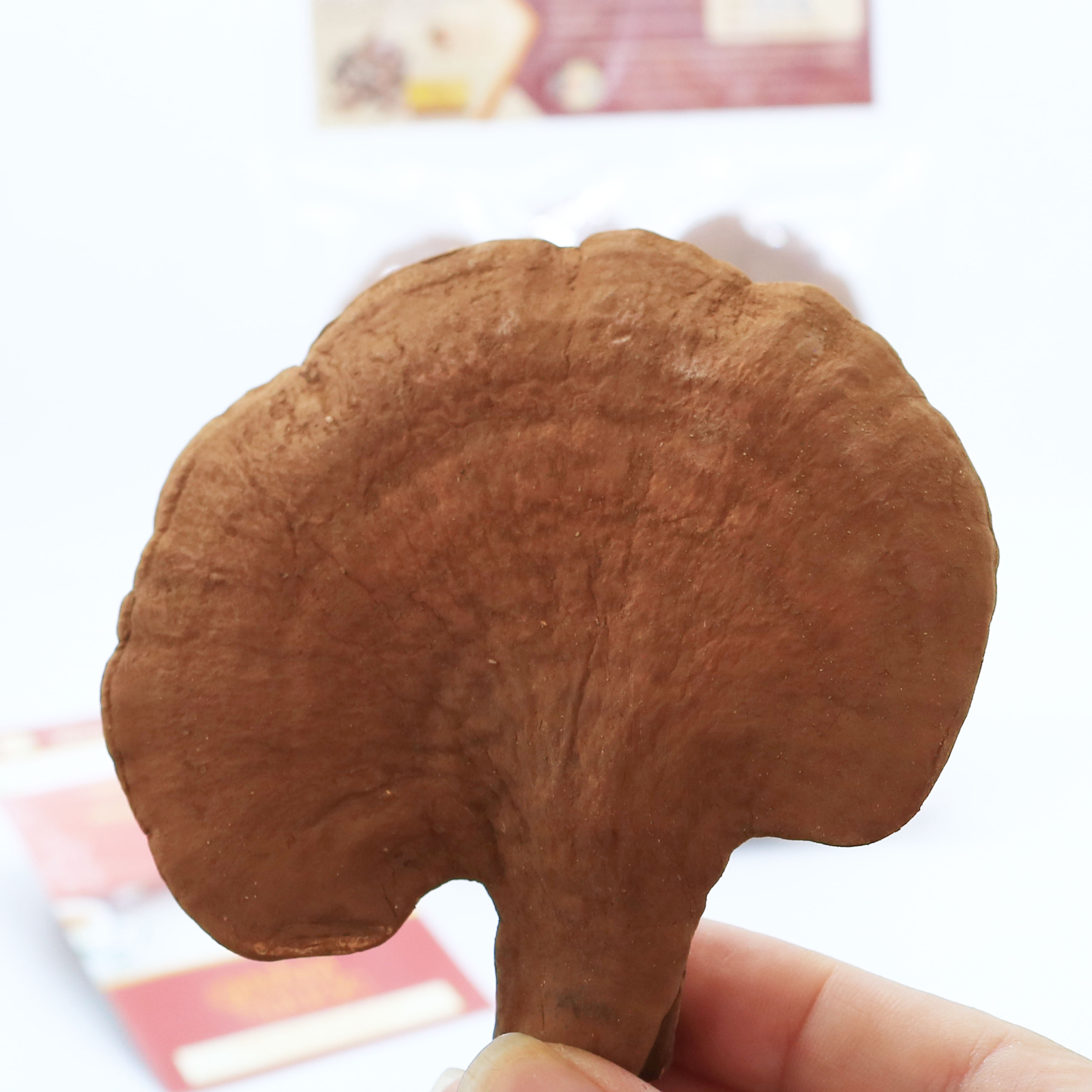 NẤM LINH CHI ĐỎ PLN - Nguyên tai. Túi 250g - Giống Nhật Bản