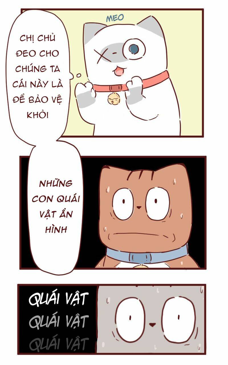 saphie: chú mèo một mắt chapter 28 8