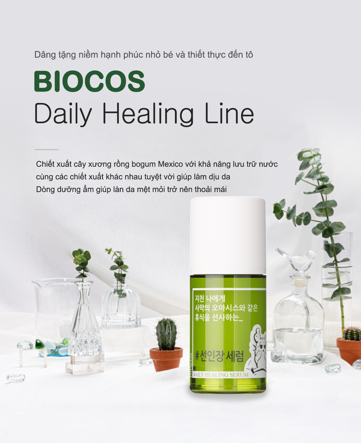 Serum Dưỡng Ẩm, Làm Sáng Da, Cải Thiện Nếp Nhăn Từ Xương Rồng Coreana Biocos Daily Healing Serum 50ml + Tặng Kèm 1 Băng Đô Tai Mèo (MÀu Ngẫu Nhiên)