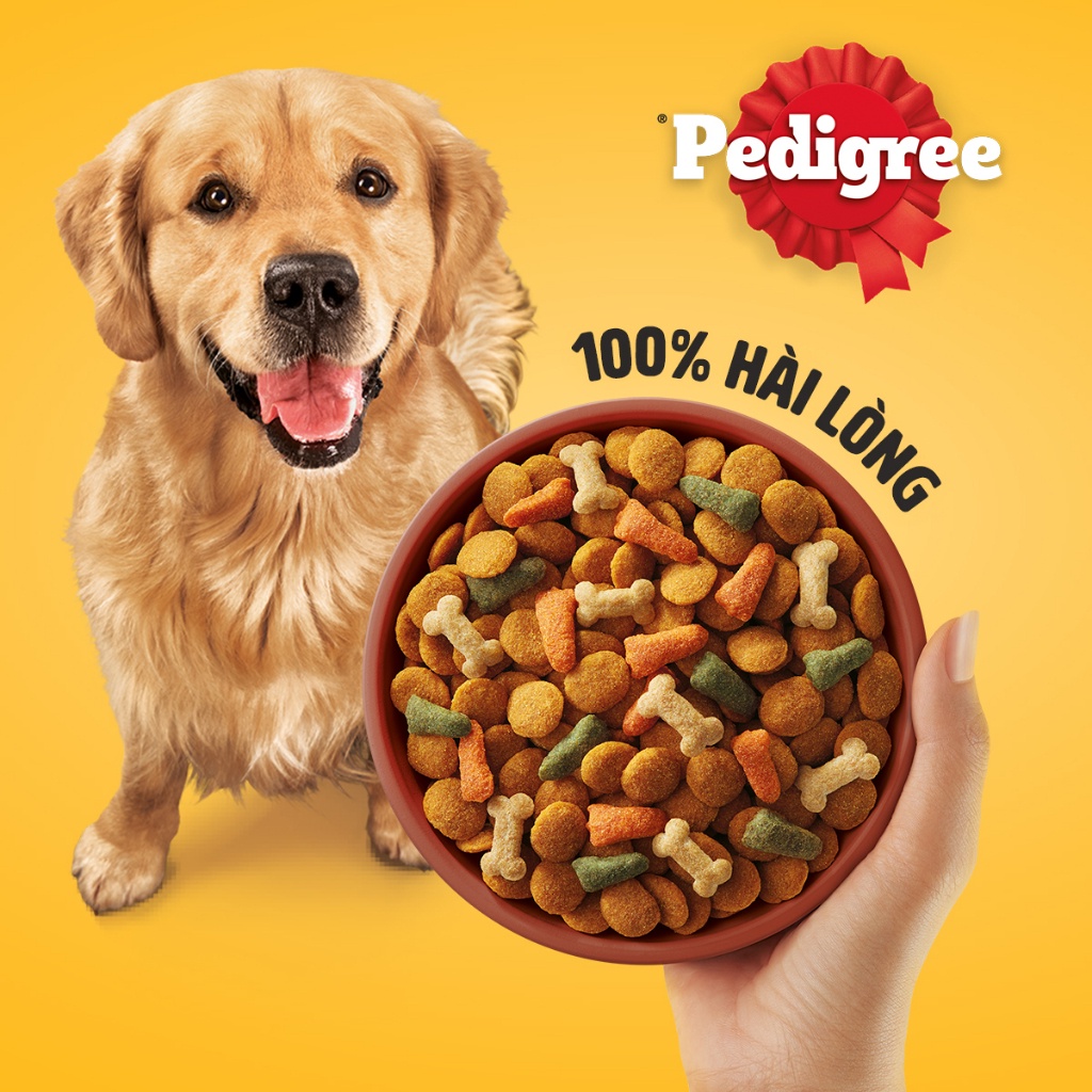 Bộ 2 túi thức ăn PEDIGREE cho chó lớn dạng hạt 1.5kg