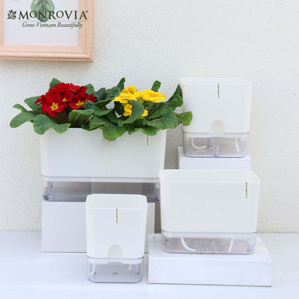 Chậu trồng cây tự tưới để bàn Monrovia, thiết kế thông minh, decor văn phòng, trong nhà, sang trọng, Tiêu chuẩn Châu Âu