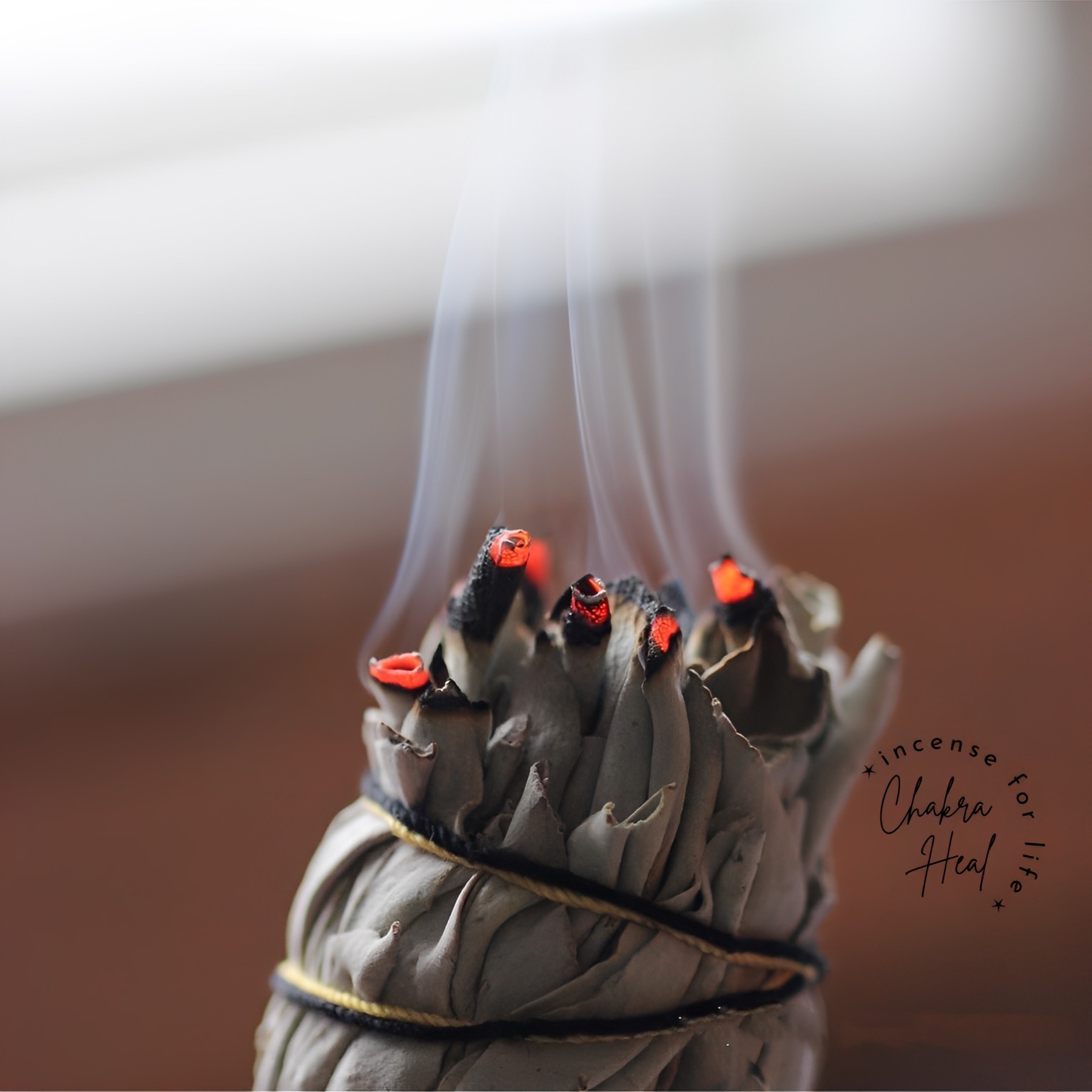 White Sage Smugde - Xô Thơm Trắng Thanh Lọc Năng Lượng l Chakra Heal Incense