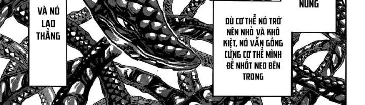 thánh tỏi sành ăn chapter 382 9