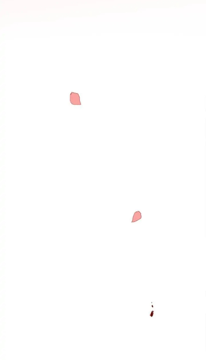 tôi là fan cứng hoàng tử chapter 64.1 10