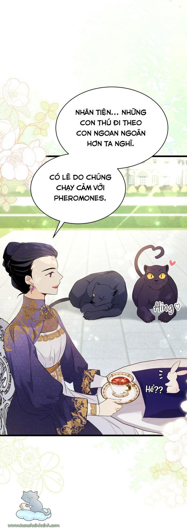 quan hệ cộng sinh giữa báo đen và thỏ trắng chapter 56 8