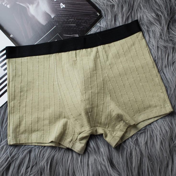 Quần lót nam Boxer Cotton co dãn 4 chiều Thông hơi thấm hút