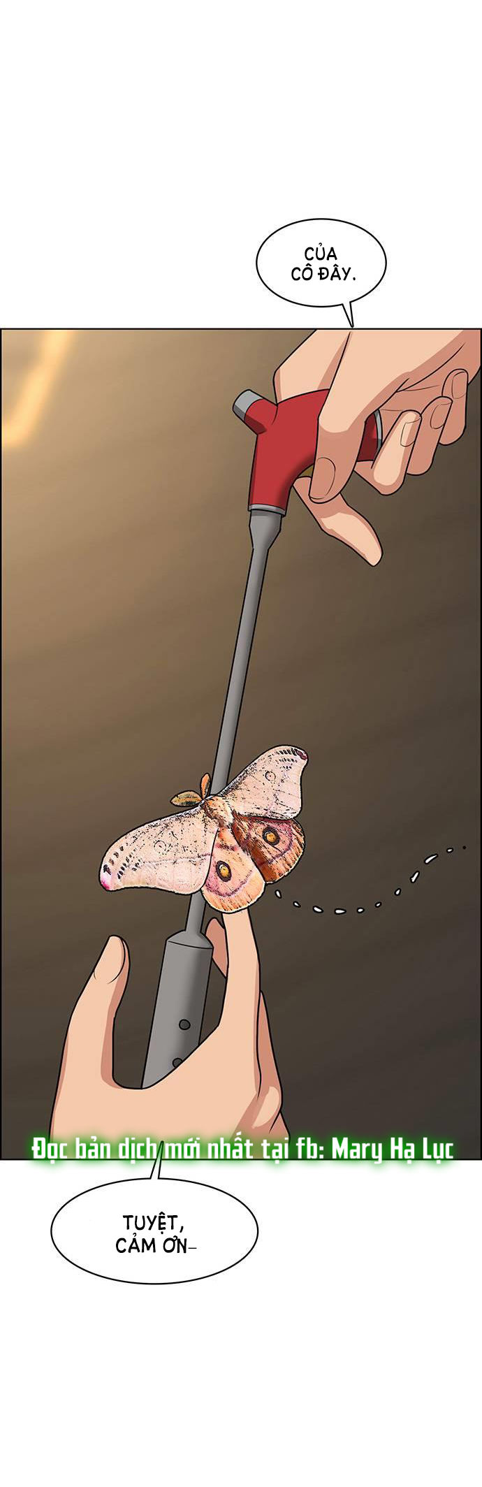 vẻ đẹp đích thực - true beauty chapter 225.2 48