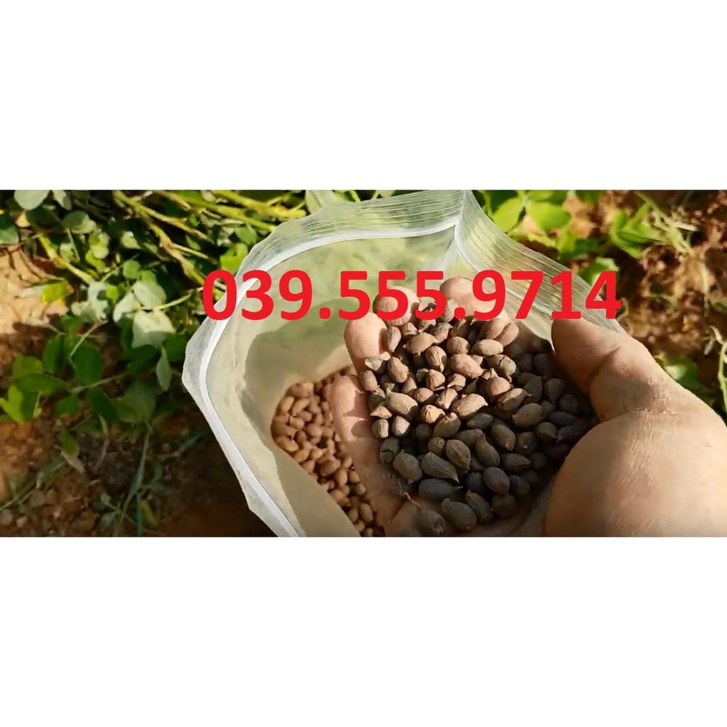 Hạt Giống Cỏ Lạc Dại – Cỏ Thảm Cảnh - Cỏ Đậu Phộng