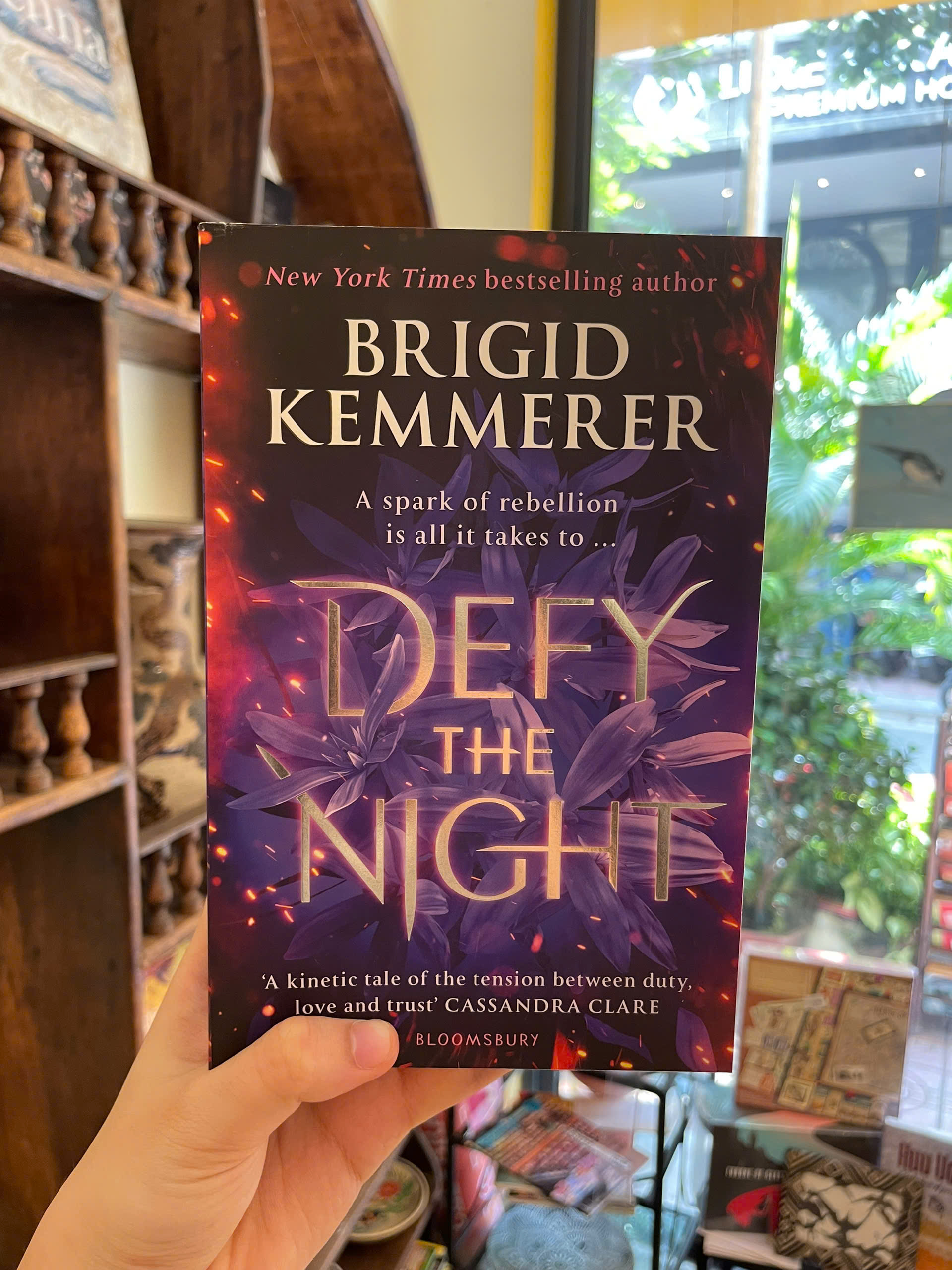 Sách - Defy the Night by Brigid Kemmerer - Fantasy/Young Adult/Romance book in English - Ngoại Văn
