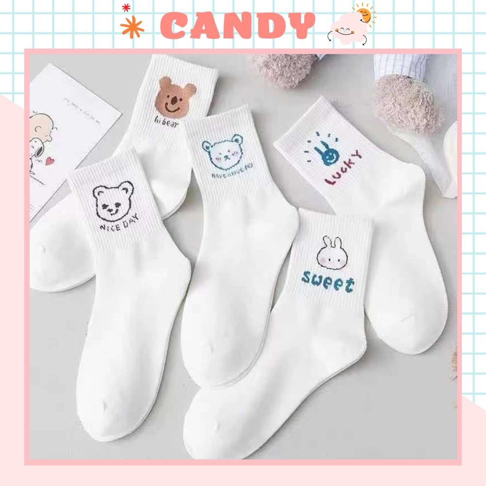 Tất nữ vớ nữ cổ trung, Set 5 đôi tất nữ phong cách Hàn Quốc, co dãn 4 chiều, chất liệu cotton Hàn cao cấp TN-200