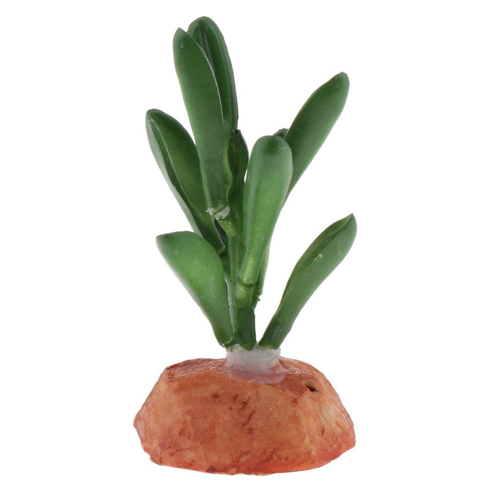 Aquarium Fish Tank Ornaments Plants Succulents Reptile Hideaway Decoration