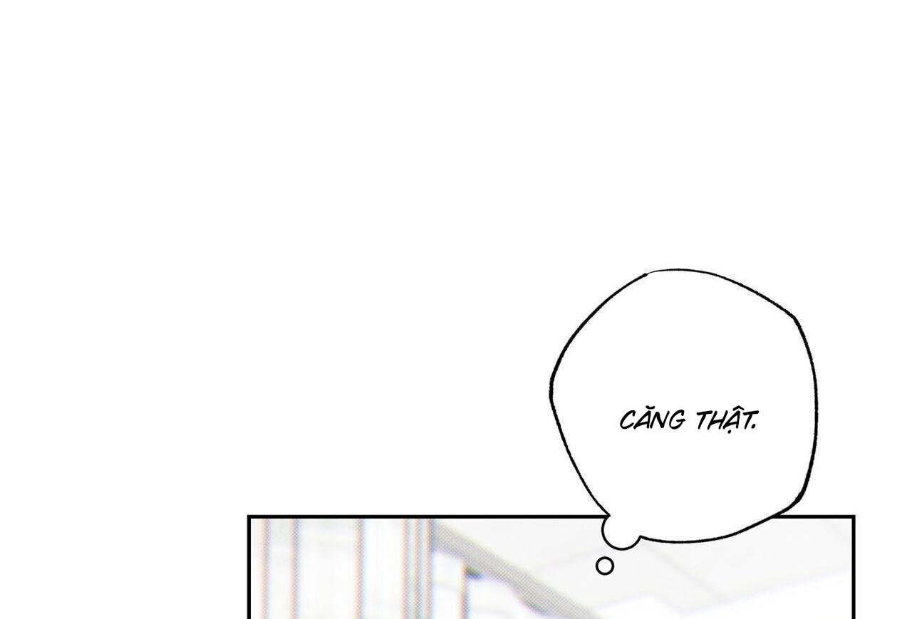 chàng giao pizza và gold palace chapter 48 197