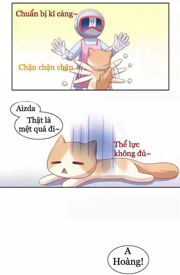 dưới móng vuốt mèo chapter 12 15