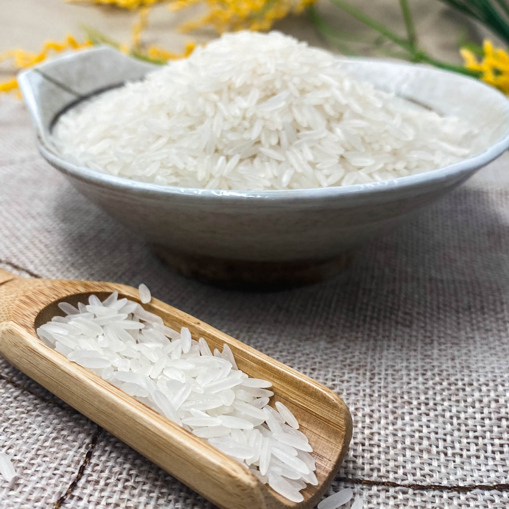 Gạo Tây Nam Bộ - Túi 5kg - Dẻo vừa, mềm cơm